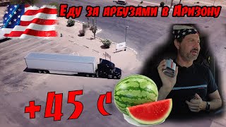 Еду грузить мексиканские арбузы в Аризону! Приключения Брежнева!