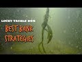 BEST Bank Fishing Strategies For Bass
