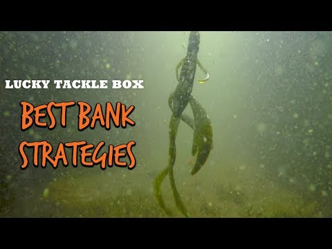 Boatless Bank Fishing Strategy By Travis Moran