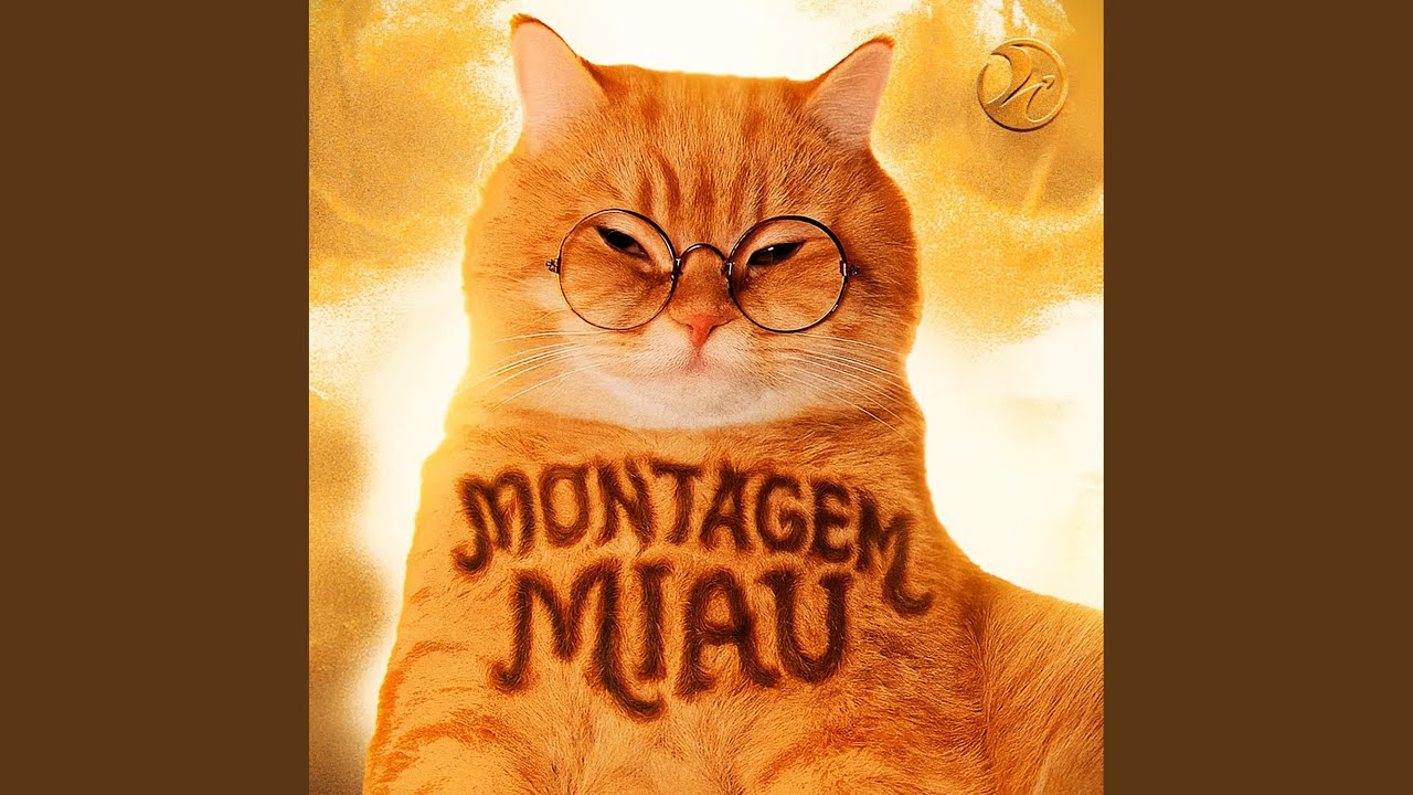 MONTAGEM MIAU