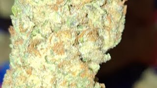 Platinum Gushers Flame Train CBD #isitgood #mustwatch