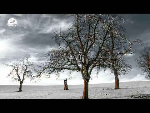 Karen Biehl - Denouement