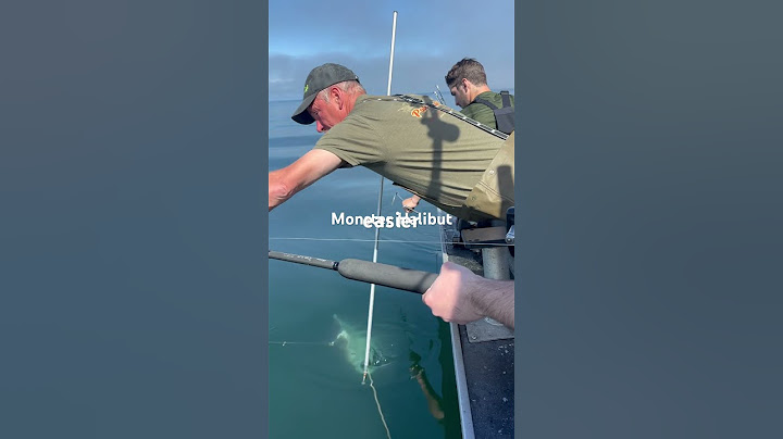 Man from Bulagaria lands monster Halibut#alaskaanimals #polebenders#halibut #bulgaria #alaska