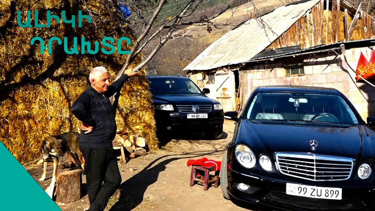 Էս գոմով,անասունով ու թրիքով դռանս մերսեդես ու տուարեգ ա  կանգնած. Ֆերմեր Ալիկը