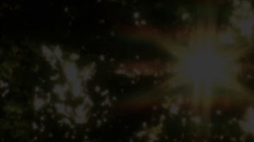 From One Source All Things Depend