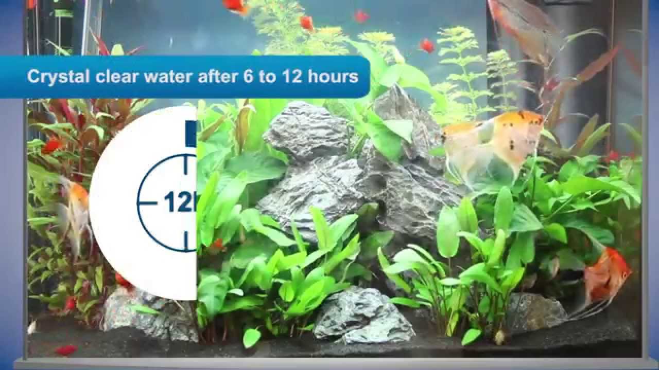 Tetra CrystalWater  For crystal clear aquarium water 