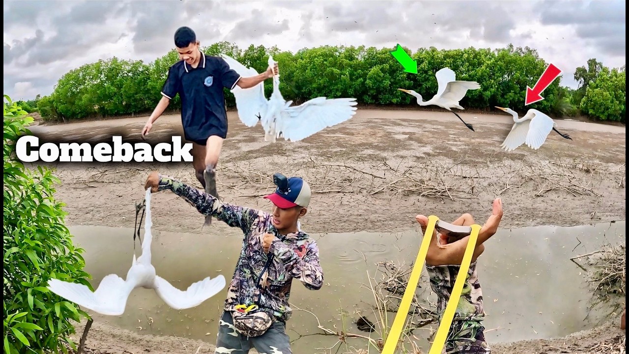 Comeback Trổ Tài Dùng Ná Săn Hàng Khủng Bay  Không Thể Thoát  || Tiến Đạt SlingShot