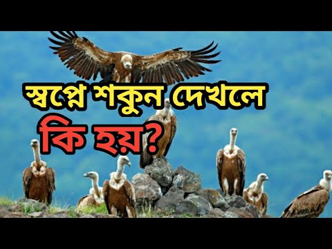 স্বপ্নে শকুন দেখলে কি হয় | স্বপ্নে শকুন দেখা |