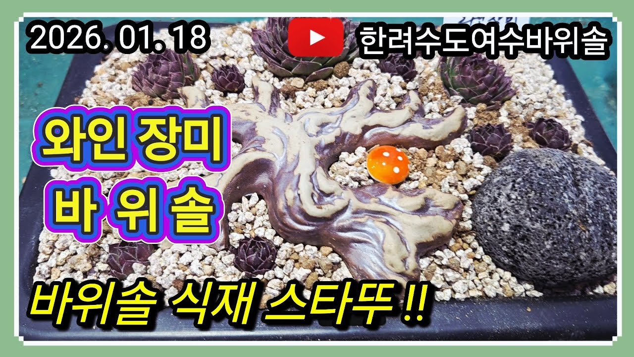 🌱힐링의 축복 시간 함께해용 