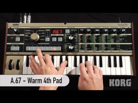 Holy fuck korg mp3