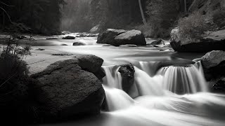 River Vintage Photos Generated By Ai Natural Landscape River 山 川 森 湖 ヴィンテージ 建築 自然 風景 白黒 写真