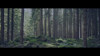 Together Were Building The Future