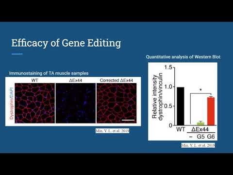 Video: Pencirian Pesat Unsur Prototaip Motif CRISPR-Cas9 Bersebelahan