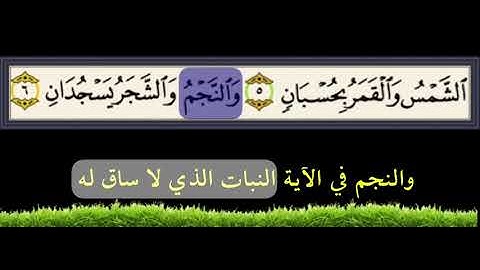 معنى النجم والشجر يسجدان سورة الرحمن