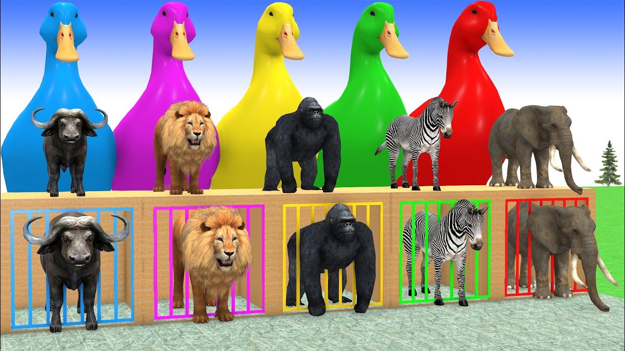 Long Slide Game With Cow Elephant Gorilla Hippopotamus Tiger 3d Animal Game Funny 3d Animals