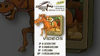 #amanecerhipico #larinconada #caballos #5y6