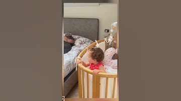 Thumbnail of Beautiful Dreams of Mino #dog #americanbully #music #love #song #doglove #family