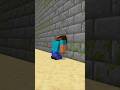 HELP Herobrine And His Friends Pass The Bedrock Door #friendship #shorts #trending #anime