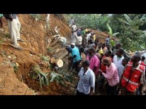 Uganda news | Landslide in eastern Uganda kills at least 31 people