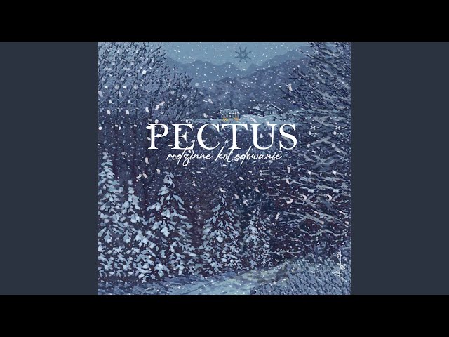 Pectus - A Wczora z Wieczora