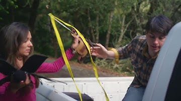 Rainforest Connection