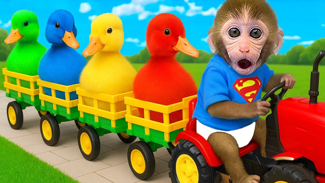 Der Affe Bon Bon isst eine leckere Wassermelone und badet im Regenbogenpark