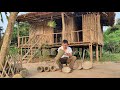 Episode 17 - That bamboo catches fish, Bamboo basket for fertilizer, Live With Nature