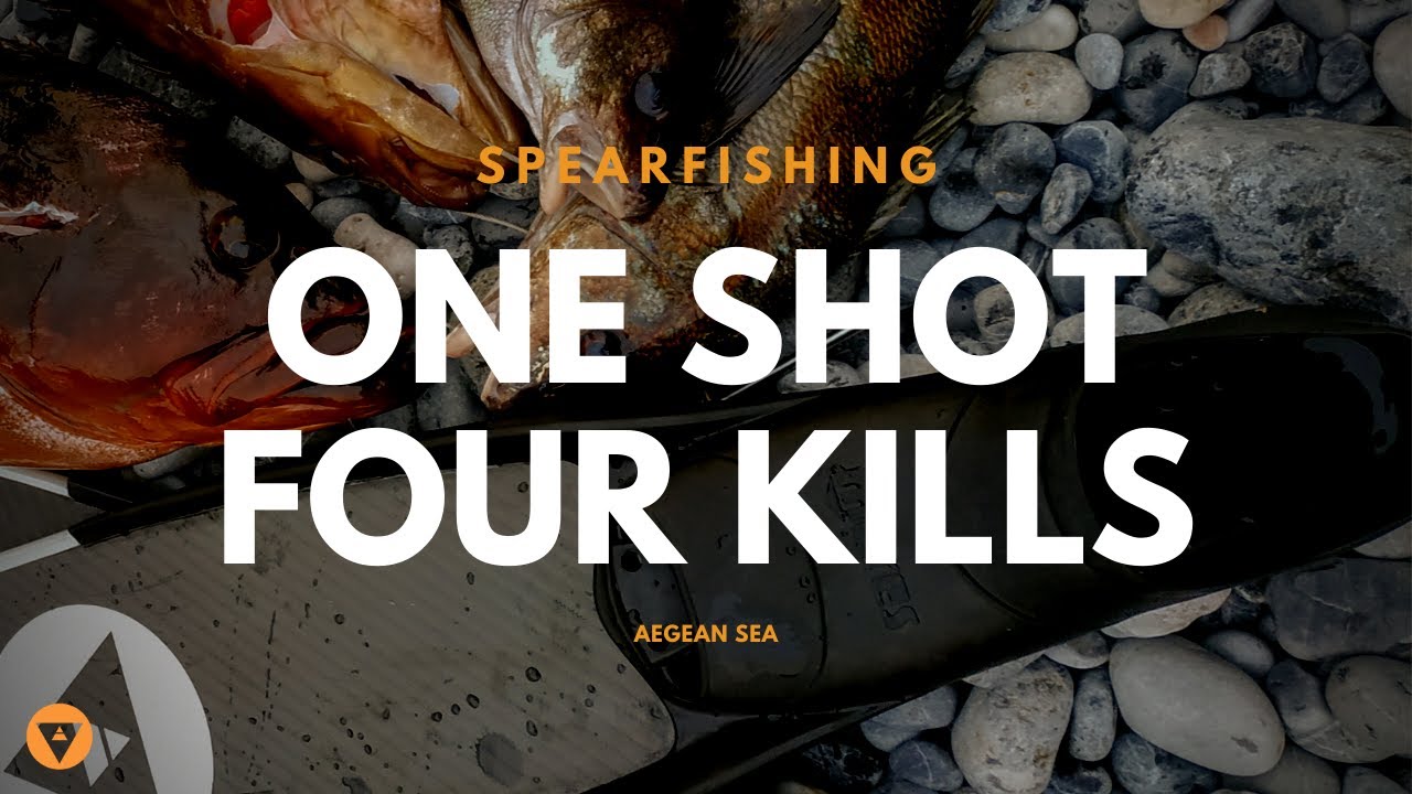 Alchemy Spearfishing | One Shot, Four Kills