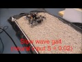 Hexapod Robot AMOSII Learning Compliance By Using Different Gaits On Fine Gravel Hexapod Robot AMOSII Learning Compliance By Using Different Gaits On Fine Gravel
