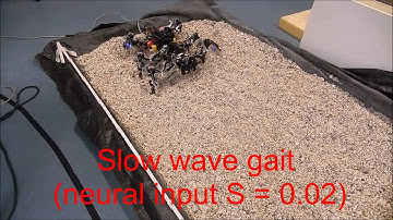 Hexapod robot AMOSII: Learning compliance by using different gaits on fine gravel