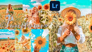 Sunflower Lightroom Preset with FREE DNG file | How to edit using Lightroom screenshot 5
