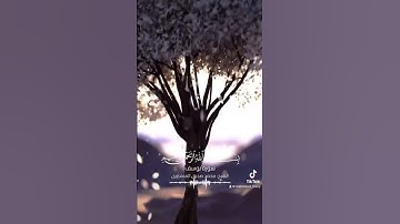 ‏القرآن الكريم - سورة يوسف بصوت القارئ الشيخ محمد صديق المنشاوي ￼#explore #explorepage #اكسبلور