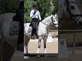Riding Dressage in a Jump Saddle #horseriding #equestrian #dressage