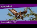 Videopodcast No 20   Jahresrückblick 2021