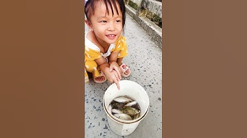 Đi câu cá ! #khảhân #shorts #shortvideo