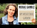 My Medicinal Garden: 7 Super Plants For A Delicious Common Cold Remedy - #13  Morag Gamble