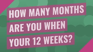 How many months are you when your 12 weeks?