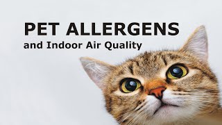 Pet Allergens and Indoor Air Quality