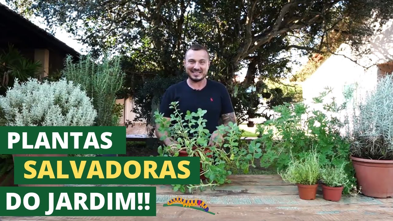 PLANTAS SALVADORAS DO JARDIM | MURILO SOARES | SPAGNHOL PLANTAS
