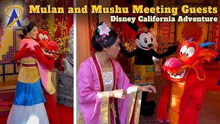 Mulan Meets Mushu  Disney Princess 