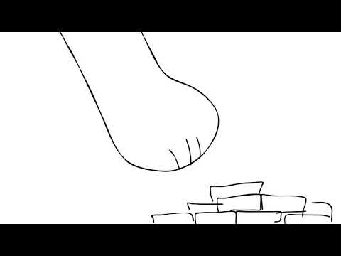 Legos - Legos