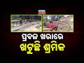 Reporter Live: Defying Govt Orders | Labourers Forced to Work in Scorching Heat in Kendrapara!