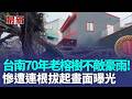 台南首邑縣城隍廟聖誕 廟前老榕樹疑不敵豪雨倒塌｜三立新聞LIVE