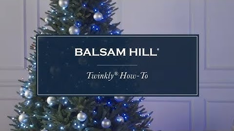 How to Set Up a Twinkly Christmas Tree