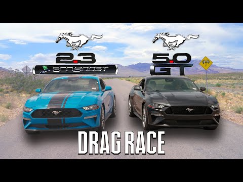 Mustang Showdown: 2023 EcoBoost vs. 2023 GT