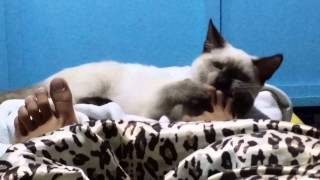 XIAM 06162015 p2