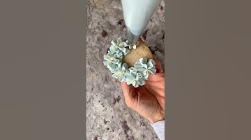 Beginner Hydrangea Cupcake with tip 2D #buttercreamflowers #hydrangeas #cupcake #cupcakedecoration