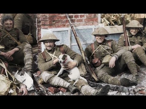 צבעי מלחמה: תיעוד בצבע של מלחמת העולם הראשונה