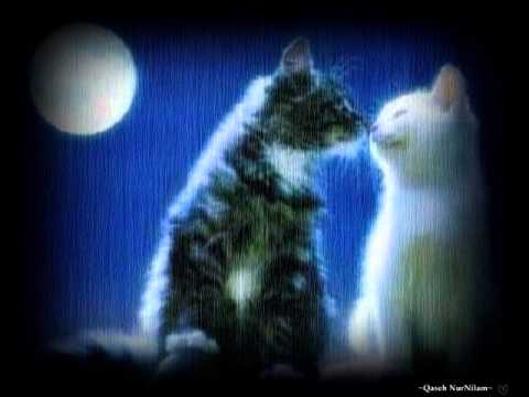 Five Minutes-Aku Dan Kamu~lirik~