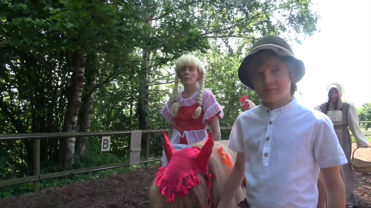 Clickertraining mit Hühnern 